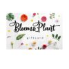 Bloem & Plant - digitaal